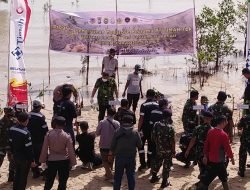 Kelompok Tani Pesisir Bersama PT Timah Tbk Menanam 2000 Pohon Mangrove