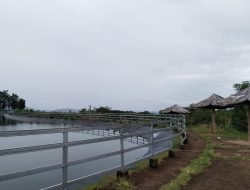 Potensi Embung Doho di Wonogiri yang Belum Tergarap