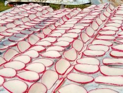 Nelayan Gumbang di Sawang Laut Kembangkan Usaha dari Program PUMK PT Timah Tbk