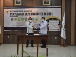 Pemkab Karimun Serahkan LKPD Tahun 2021 kepada BPK RI