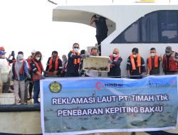 PT Timah Tbk Lepaskan Ratusan Bibit Kepiting Bakau di Pulau Kundur