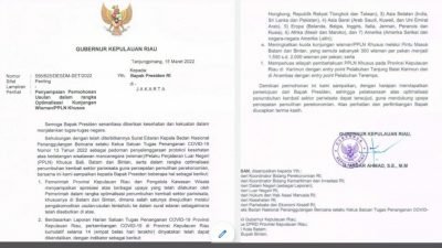 Pemerintah Pusat Tanggapi Surat Gubernur Kepri Terkait Optimalisasi PPLN