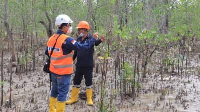 Tinjau Reklamasi PT Timah Tbk di Kundur, Kementerian ESDM Sebut Dampak Ekonomi Bagi Masyarakat