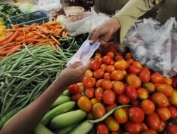 Harga Pangan Turun, Minyak Goreng Paling Signifikan