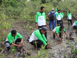 Lestarikan Lingkungan, PT Timah Tbk Telah Tanam Puluhan Ribu Mangrove