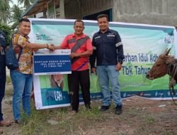 PT.Timah Tbk Menyalurkan 39 Ekor  Hewan Kurban