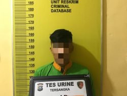 Ungkap Curat, Polsek Tebingtinggi Ringkus Pemuda Pengangguran di Selatpanjang