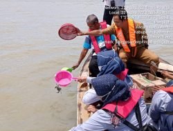 PT Timah Tbk Bersama Masyarakat Lepas Ratusan Anakan Kepiting ke Kawasan Mangrove