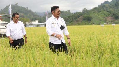 Krisis Pangan Global, Mentan Dorong Cepat Pelaksanaan Perkebunan 2023