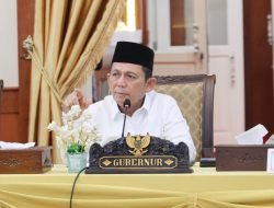 Ansar Keluarkan SK Penyesuaian Tarif Kapal RoRo Punggur – Dabo Singkep