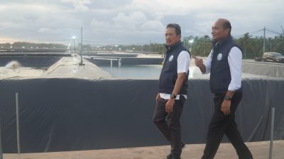 KKP Kembangkan Budidaya Ikan Nila di Papua