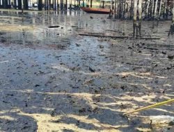 Limbah Hitam Pekat Cemari Pantai Kampung Melayu Nongsa