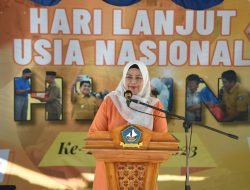 Dewi Ansar Hadiri Peringatan HLUN ke-27 Kabupaten Bintan 2023