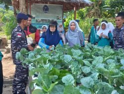 Lanal TBK Menerima Pelajar SMP Negeri 2 Karimun Untuk Lihat Langsung Penanaman Sayur Hidroponik