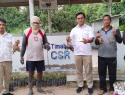 PT Timah Tbk Mendorong Kemandirian Ekonomi Nelayan Desa Sawang Laut