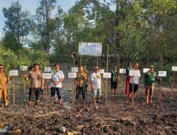 PT Timah Tbk Dukung Kegiatan penanaman 1000 Mangrove di Desa Pangke Bersama FPKL