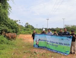 PT Timah Tbk Distribusikan Sepuluh Ekor Hewan Kurban ke Masyarakat di Kundur Barat