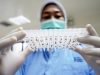 Wolbachia, Lumpuhkan Virus Dengue di Tubuh Nyamuk