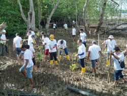 PLN Batam Tanam Ratusan Bibit Mangrove dan Pungut Sampah di Desa Wisata Kampung Terih