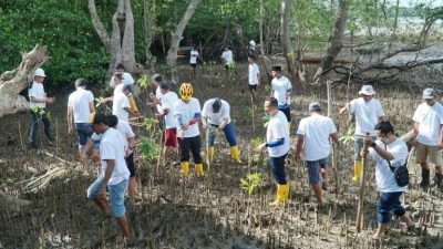 PLN Batam Tanam Ratusan Bibit Mangrove dan Pungut Sampah di Desa Wisata Kampung Terih