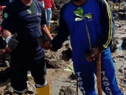 PT Timah Tbk Dukung Kegiatan Penanaman 1000 Mangrove Bersama Dinas Perikanan Kabupaten Karimun