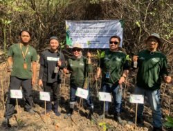 ASDP Tanam Seribu Bibit Pohon Mangrove Guna Masa Depan Pesisir Indonesia