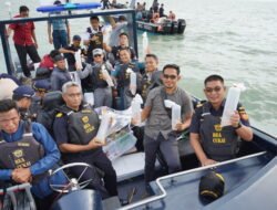 Kanwilsus Bea Cukai Gagalkan Penyelundupan Baby Lobster ke Malaysia