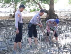 HUT Humas Polri Yang Ke-72, Sihumas Polres Karimun Tanam Pohon Mangrove