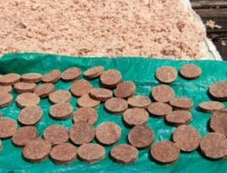 Manfaatkan Program PUMK PT Timah Tbk, Usaha Terasi Hamid Bisa Perluas Pemasaran Hingga ke Daerah Lain