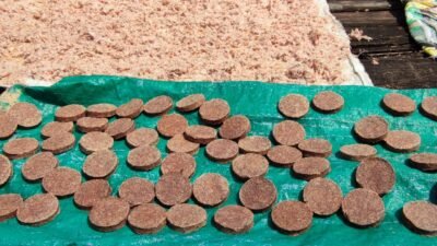 Manfaatkan Program PUMK PT Timah Tbk, Usaha Terasi Hamid Bisa Perluas Pemasaran Hingga ke Daerah Lain