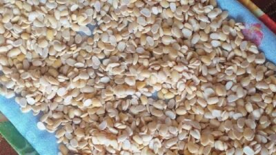 Kemenperin Dorong Pelaku IKM Tempe Maksimalkan Potensi Pasar Dalam dan Luar Negeri