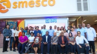 Indonesia Jajaki Kerja Sama Sektor UMKM dengan Afrika Selatan