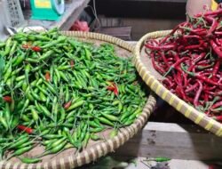 Harga Cabai Mengalami Kenaikan Dipasar Karimun