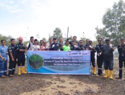 Jaga Ekosistem Pesisir dan Cegah Abrasi, PT Timah Tbk Tanam 12.000 Mangrove di Pesisir Pantai Kundur