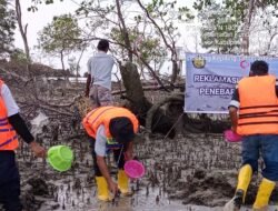 PT Timah Tbk Lakukan Restocking Kepiting di Pulau Kundur