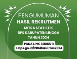 BPS Lingga Umumkan Daftar Nama Mitra BPS 2024, Cek link Berikut