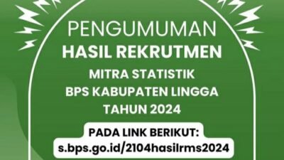 BPS Lingga Umumkan Daftar Nama Mitra BPS 2024, Cek link Berikut