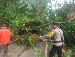 Bhabinkamtibmas Hadir Membantu Bersihkan Pohon Tumbang Dijalan