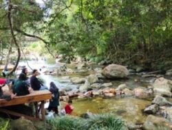 Kadis LH Sebut, Wisata Arung Jeram Sungai Kim Daik Hingga Saat Ini Aman Dari Buaya