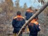 Akibat Pembukaan Lahan Sebabkan Kebakaran, ± 1 Ha Lahan Hutan Rusak