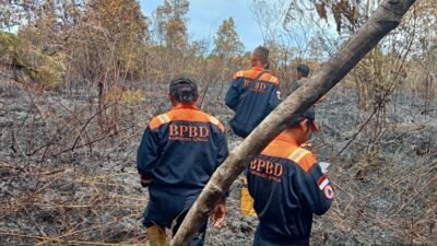 Akibat Pembukaan Lahan Sebabkan Kebakaran, ± 1 Ha Lahan Hutan Rusak