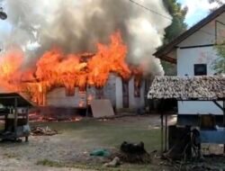 Diduga Akibat Puntung Rokok Sebabkan 1 Rumah Habis Dilahap Sijago Merah