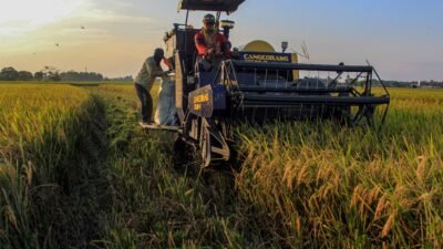 Kebutuhan Beras Maret-Mei 2024 dalam Kondisi Aman