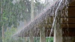 BMKG Lingga Perkirakan Hujan Deras Angin Kencang Disertai Petir Berlangsung Siang Ini