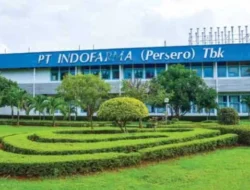 BUMN Indofarma Terjerat Pinjol, BPK Temukan Indikasi “Faud”