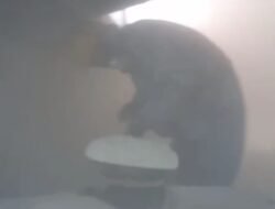 Dituntut Bekerja Saat Terjadi Kebocoran Mesin Packing Semen, Karyawan PT SBA Alami Batuk Berdarah