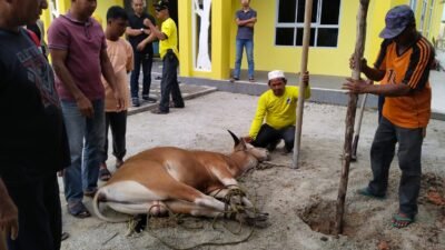 Golkar Karimun Rayakan Idul Adha dengan Berkurban