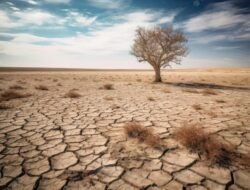 Jokowi Ingatkan Ancaman “Neraka Iklim:” Krisis Air, Kekurangan Pangan dan Inflasi Global