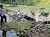 Kearifan Lokal Masyarakat Ngijo dalam Melestarikan Mata Air Tuk Serco