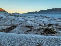 Embun Upas, Fenomena Mirip Salju di Dieng dan Bromo